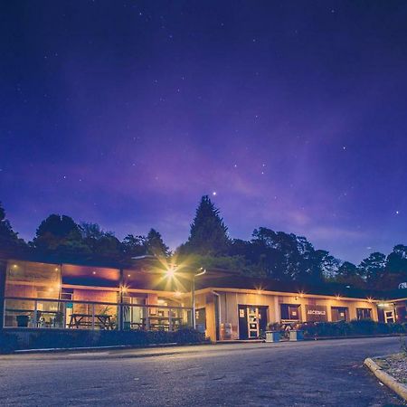 Archibald Hotel Kurrajong المظهر الخارجي الصورة
